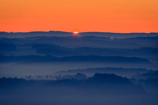 RB_201128_080813_lr.jpg
