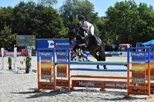 D5N_0083klein.jpg