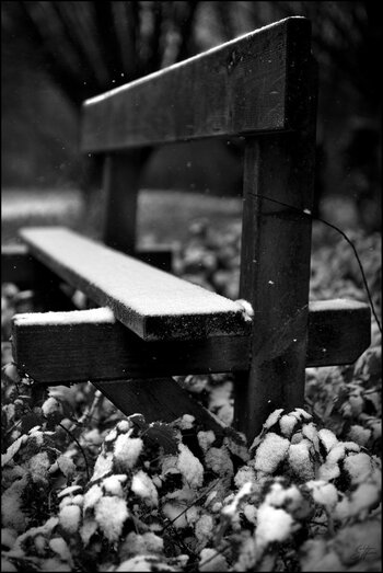 Estrun_Snow_SAS_5770.jpg
