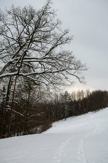 20210117-DSC_7000.jpg