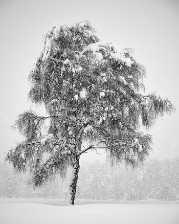 DSC_0808_1200px.jpg
