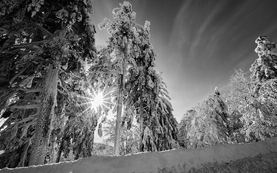 DSC_92492_2.jpg