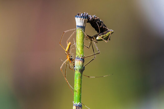 20200819_D500_1465NF.jpg
