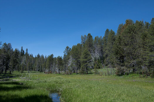20190709-190709-111305-NIKON_D850Yosemite_.jpg