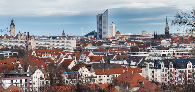 750_8038.JPG