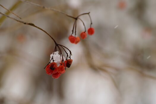 Jan25_0008.jpg