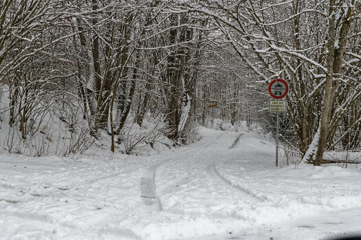 Bobingen Januar 2021-853491_DxO.jpg