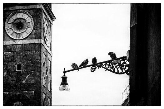 20090123_A7_0332swNF.jpg