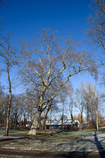 750_8298.JPG
