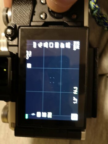 Display Raster 1.jpg