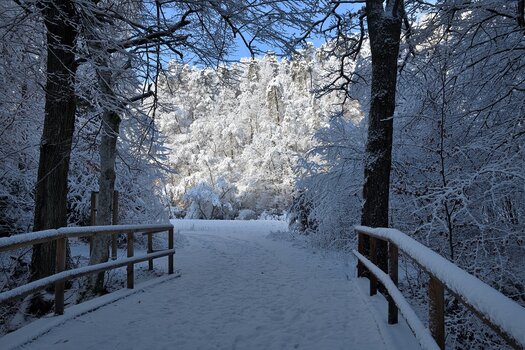 DSC_0187_00001 - Kopie.jpg