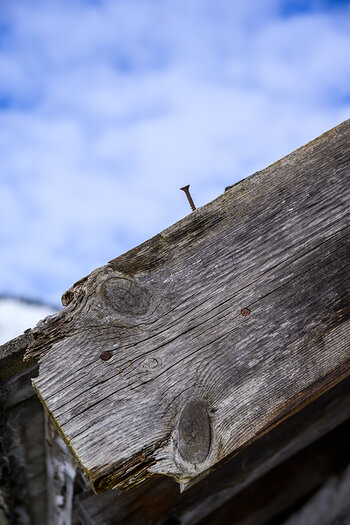 20210204_NZ6_0026NF.jpg