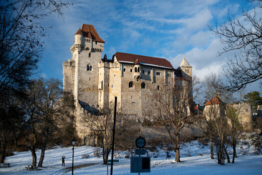 20210127-DSC_7031.jpg