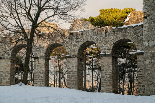 20210127-DSC_7037.jpg