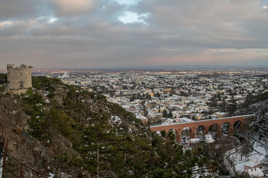 20210127-DSC_7084.jpg