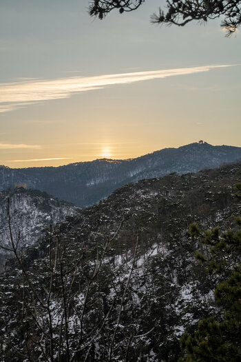 20210127-DSC_7068.jpg