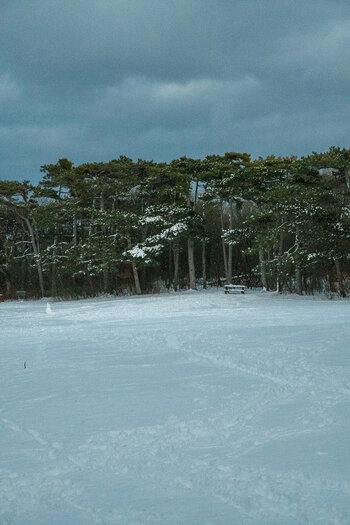 20210127-DSC_7095.jpg