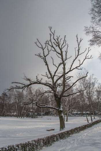 750_8403.JPG
