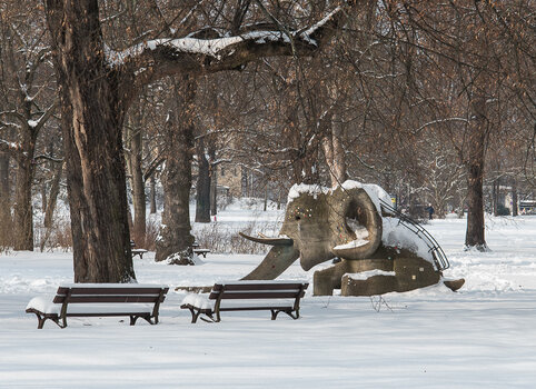 750_8401.JPG