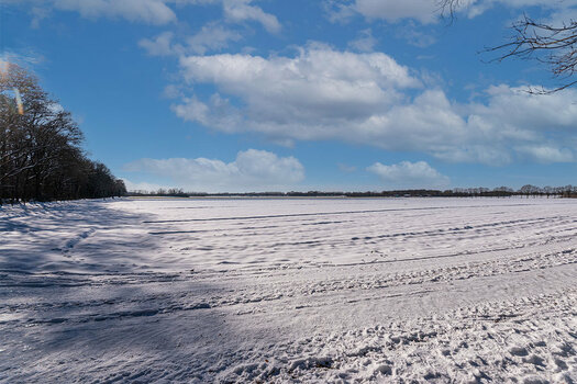 TOM_5356-HDR.jpg