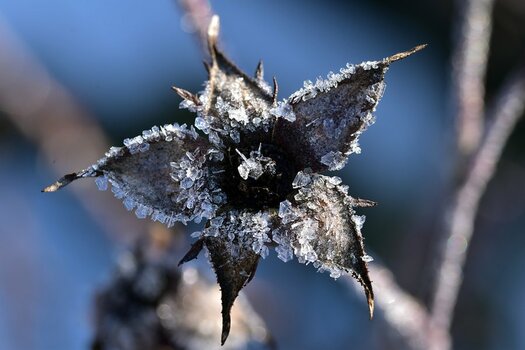DSC_2664n.JPG