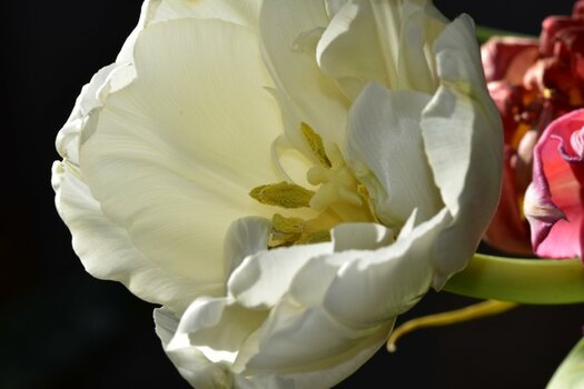 DSC_2757.JPG