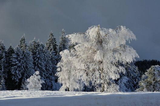 Schwwhochstr DSC_0723.jpg