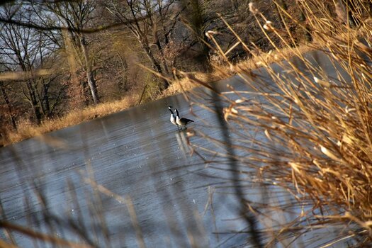 DSC_2943n.JPG
