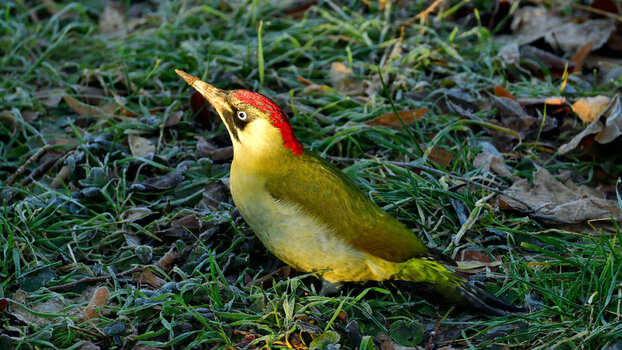 DSC_9031.JPG DSC_9031.JPG