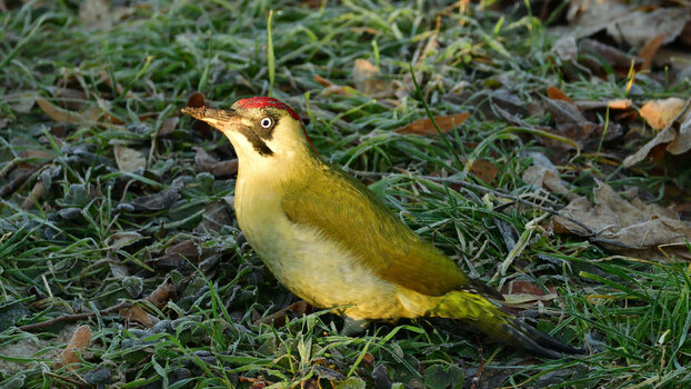 DSC_9032.JPG DSC_9032.JPG