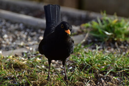 DSC_0182.JPG DSC_0182.JPG