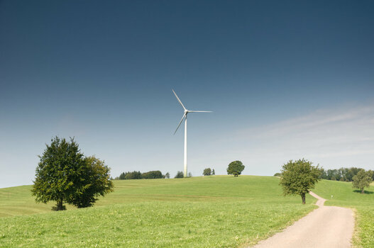 2012_08_23_D300S_DSC0583.jpg 2012_08_23_D300S_DSC0583.jpg