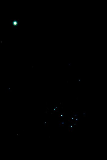 Venus M45.JPG
