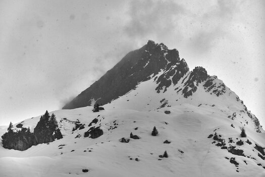 DSC_1158_1200px.jpg