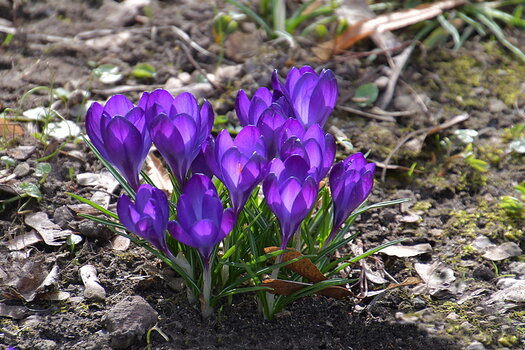 WRU_0216.JPG