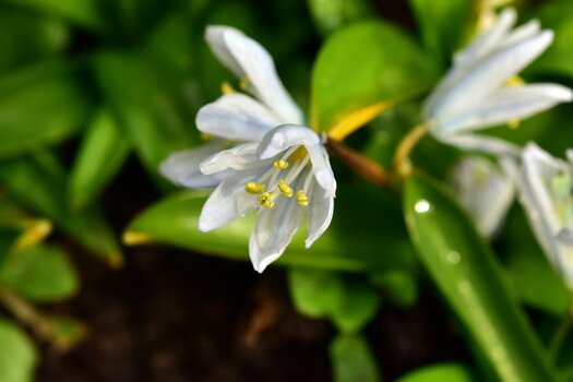 DSC_1605n.JPG