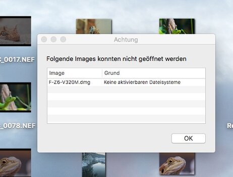 Ohne Titel.jpg