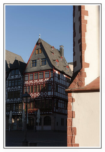FFM_2_22a.jpg