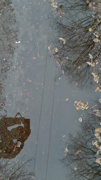 20210312_184739.jpg