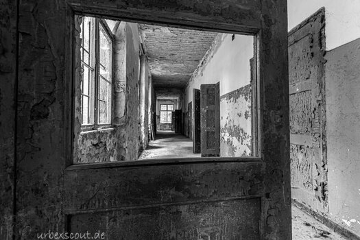 Berlin-Tour-66-web.jpg