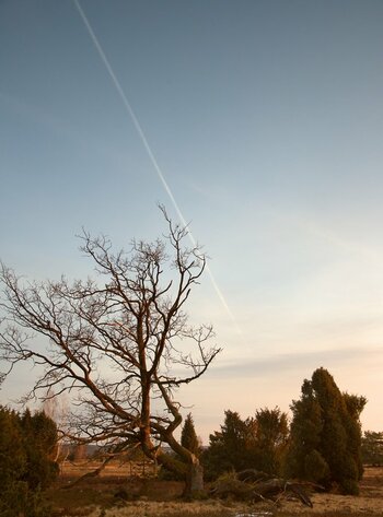 DSC_1226 -1.jpg