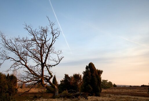 DSC_1228 -1.jpg