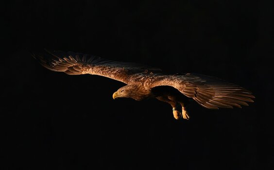 2_DSC_6836_2.jpg