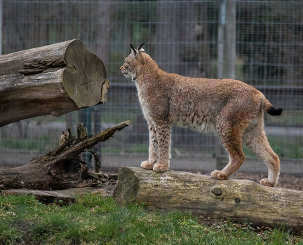 750_8933-Bearbeitet.JPG