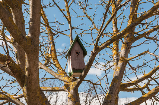 DSC_1063.JPG