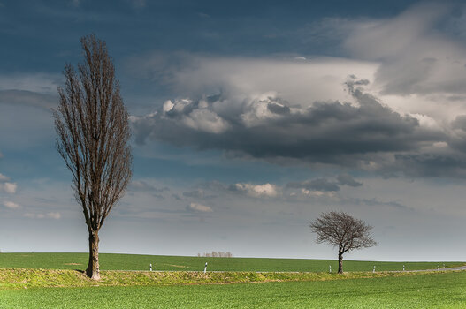 DSC_1070.JPG