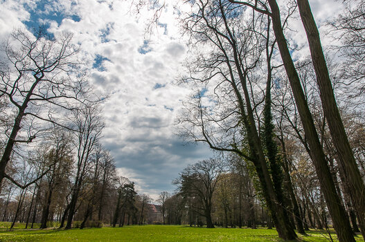 DSC_0976.JPG