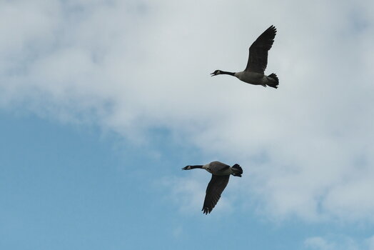 TSF 2021 -076.jpg