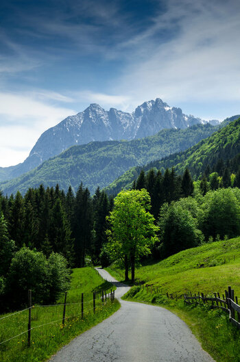 20 Tirol.jpg