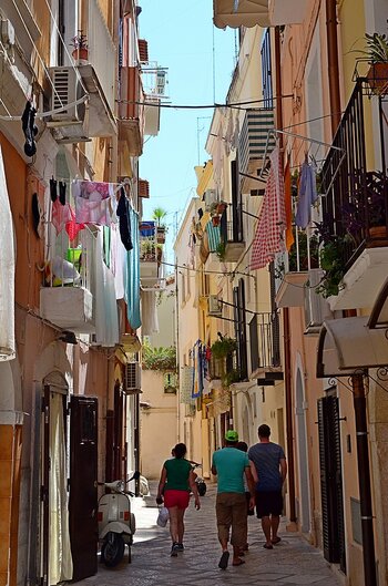 DSC_1938.JPG